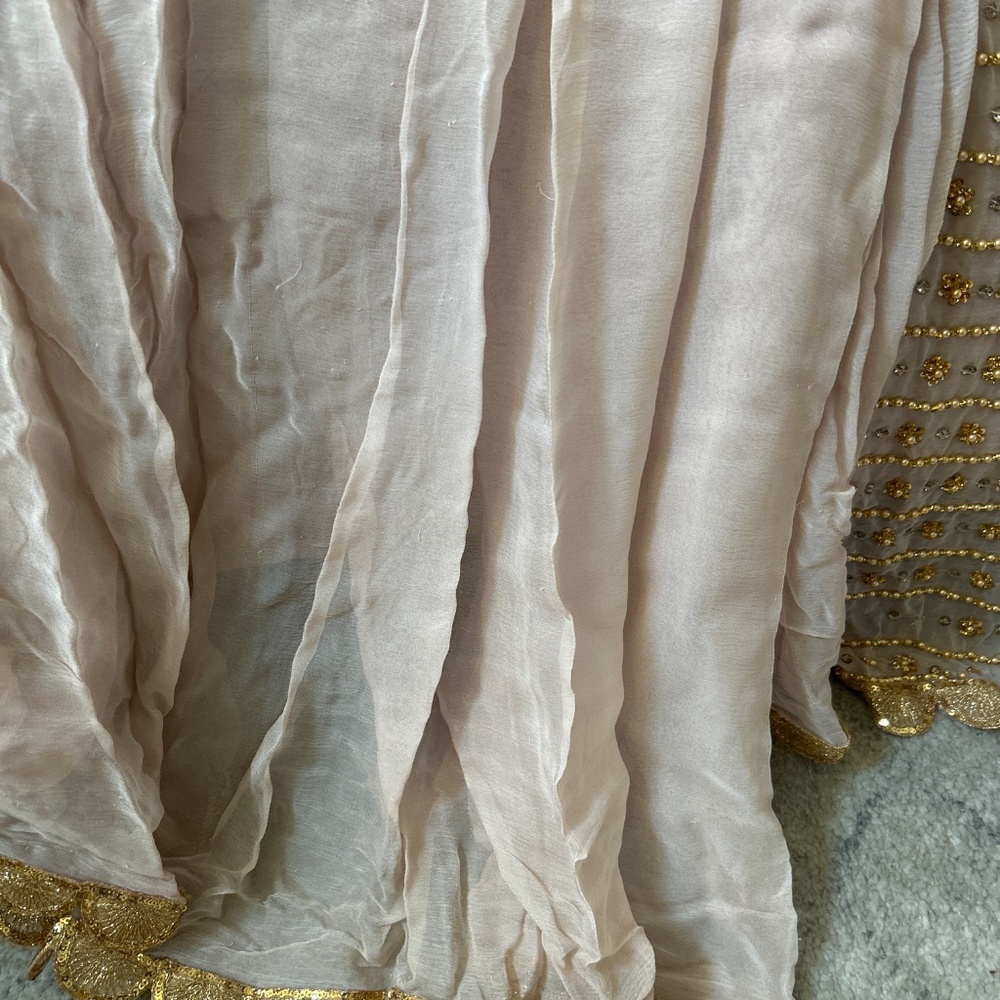 Hand Embroidered Beige Chiffon Saree / Sari with heavy sequence work - Picture 9 of 11